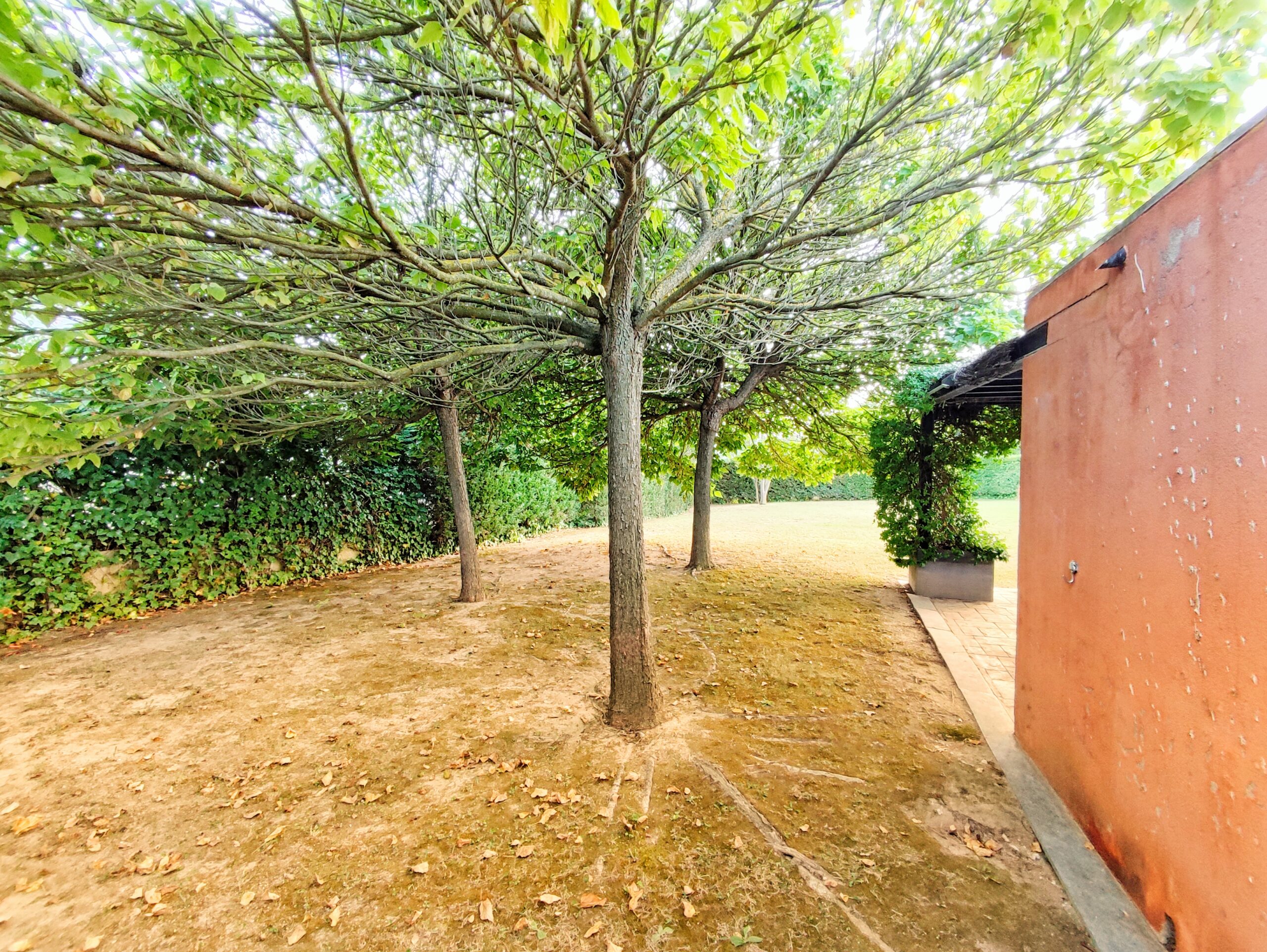 Chalet en Cerviá de Ter (Girona), foto 12.