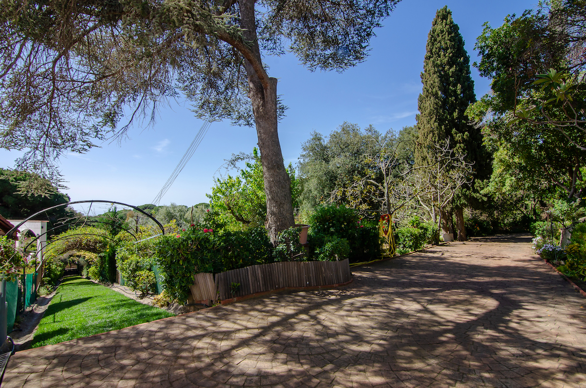 Preciosa Villa con vistas al mar en Sant Andreu de Llavaneras (Barcelona), foto 14.
