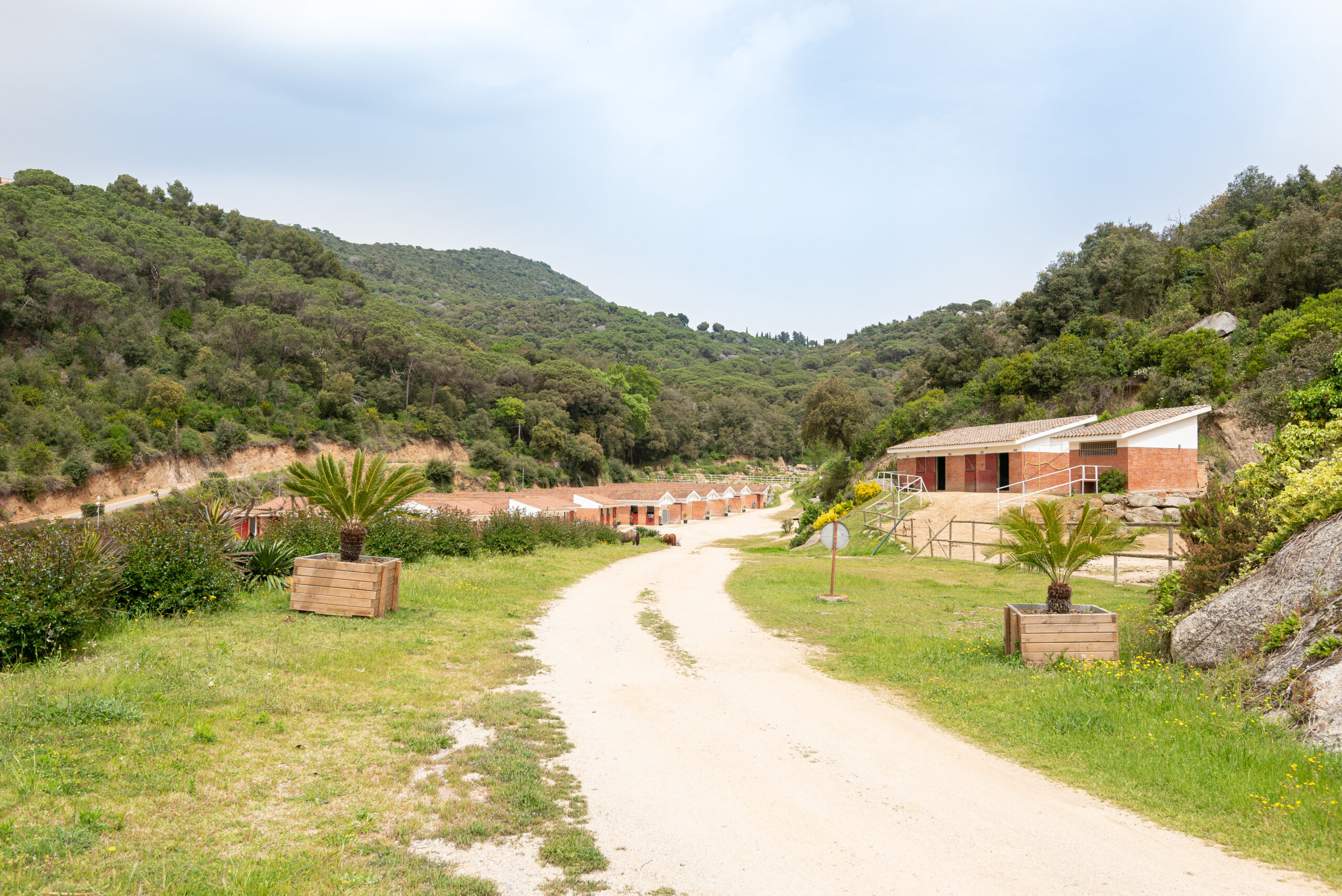 Propiedad Ecuestre en Venta en Sant Andreu de Llavaneres Barcelona, foto 10.