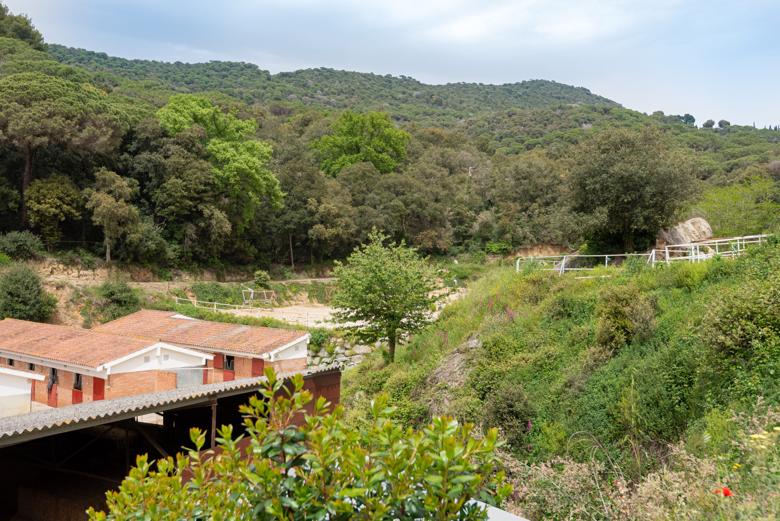 Propiedad Ecuestre en Venta en Sant Andreu de Llavaneres Barcelona, foto 16.