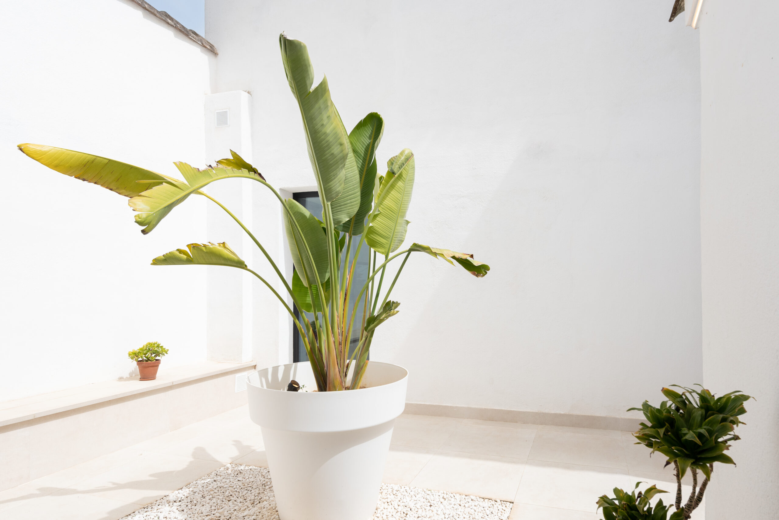 Casa de ensueño mediterránea con vistas al mar en la prestigiosa Llavaneres, foto 66.