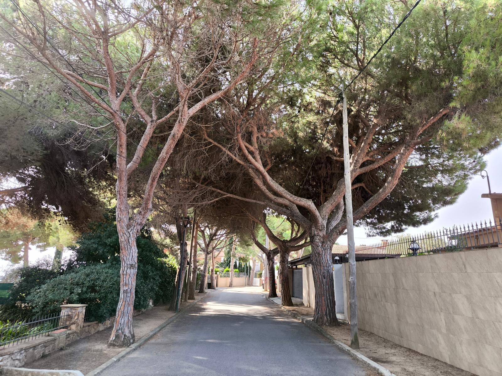 Encantadora casa a cuatro vientos en Montgoda, Lloret de Mar, foto 1.