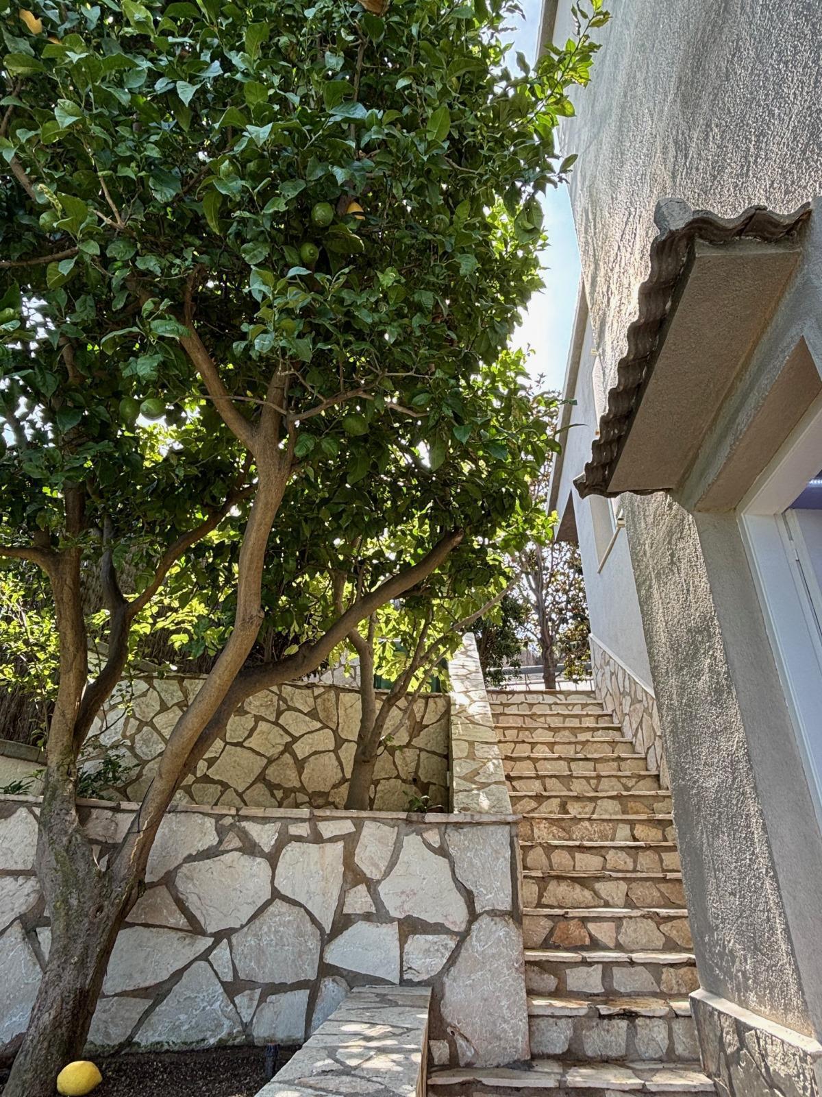 Casa unifamiliar con piscina, jardín y vistas al mar en Calella (Costa Barcelona), foto 26.